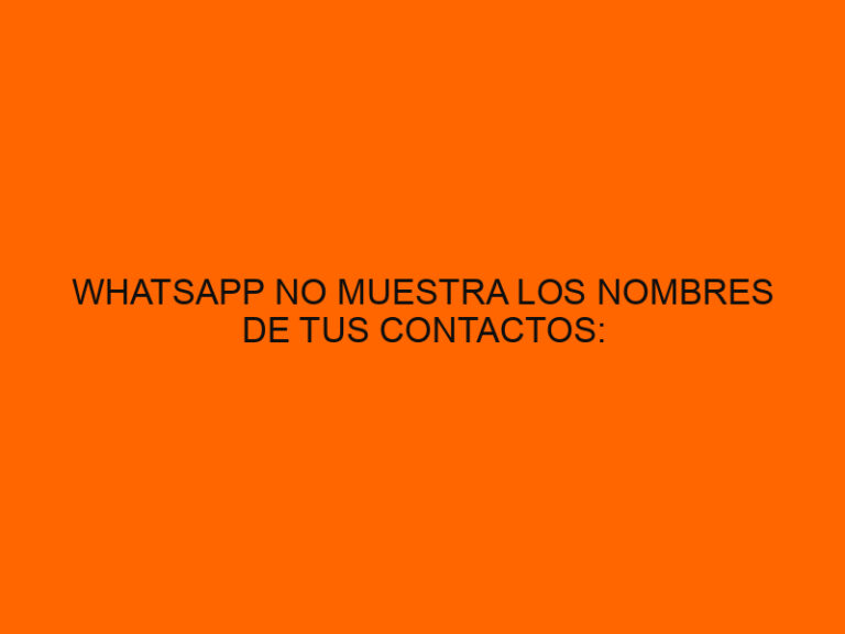 Andy Inventor WhatsApp No Muestra Los Nombres De Tus Contactos: La Opción Que Puede ...